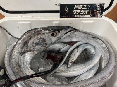 ドラゴンゲット！！