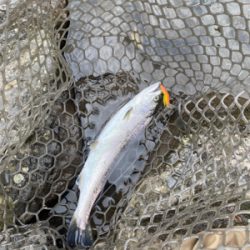 黒保根渓流フィシング