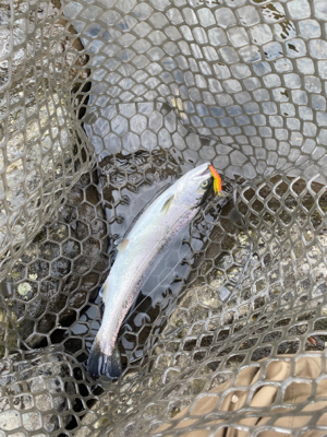 黒保根渓流フィシング