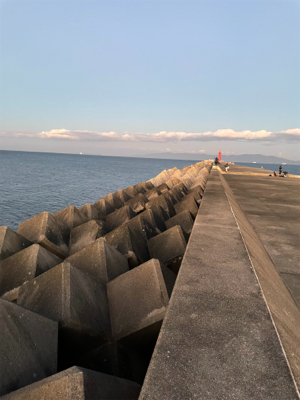 水軒でシイラダブルヒット