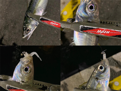 シャローフリークF