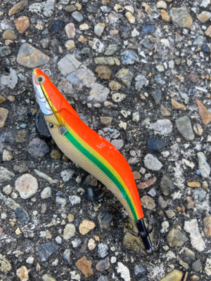 昼間のアオリはダートが好き？(^｡^)