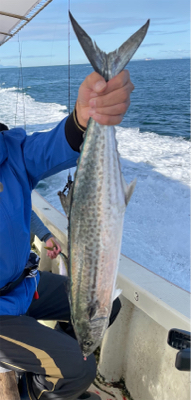 明石沖ジギング