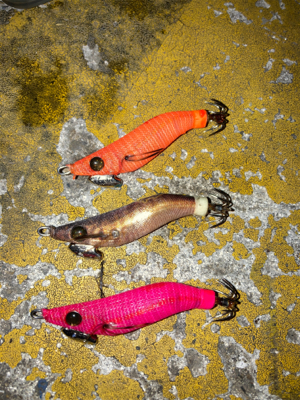 ヒイカ調査(^｡^)