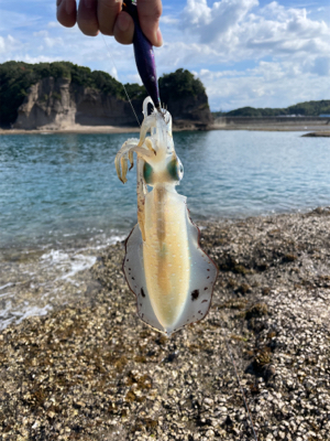 気分転換でのエギング