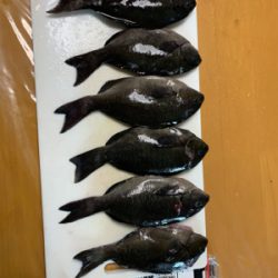 グレのモーニングサービス