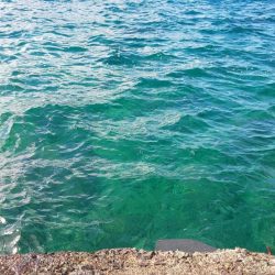 毎度です。イカの釣果は微妙でした。