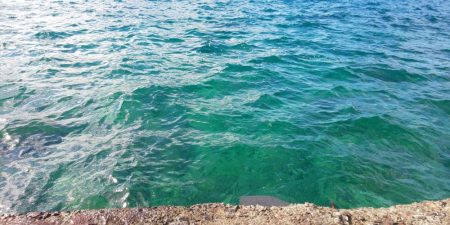 毎度です。イカの釣果は微妙でした。