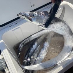 後半は当たりが小さく渋かった!