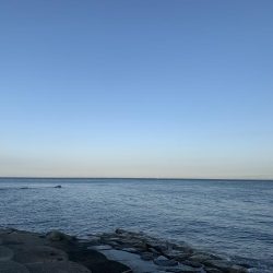 淡路島釣行 連敗脱出メジロ 61センチGET