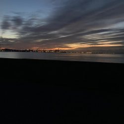 チヌ3、ガシラ3