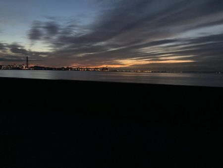 チヌ3、ガシラ3