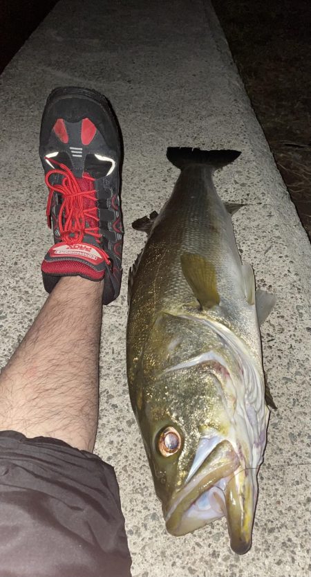 釣れてくれてありがとう