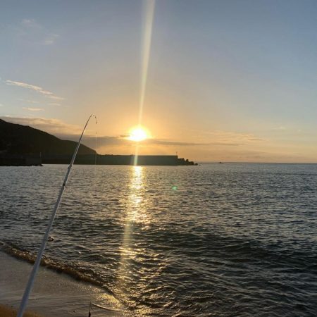 イカ狙いのはずが…