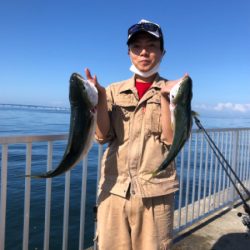 初　青物　メジロ、ハマチ