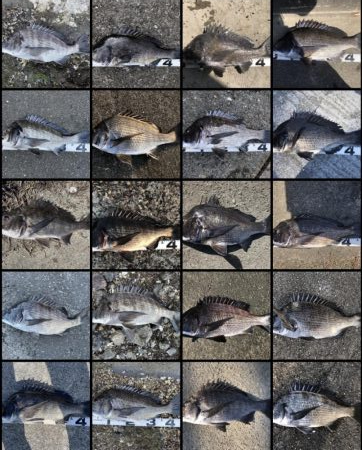 イチノ兄弟、釣果！