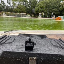 大阪でエリアトラウト