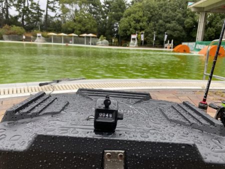 大阪でエリアトラウト