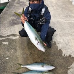 爆風湾岸ミノー