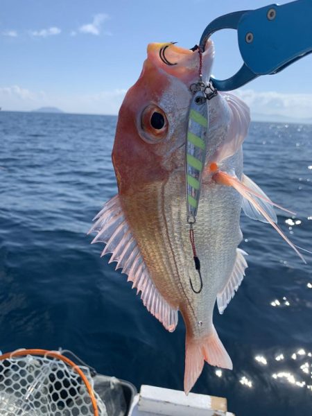 今回もジギングでアマダイ釣り！