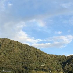 しまなみエギング ドピーカン