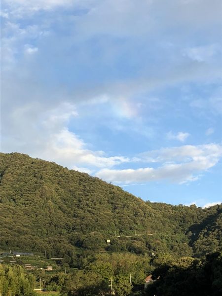 しまなみエギング ドピーカン