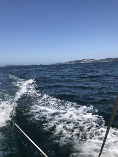 イカハゲショート