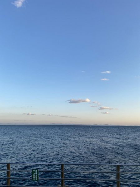 まさか翼港でガシラが釣れるとは…