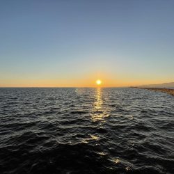 武庫川一文字でガシラ満喫！