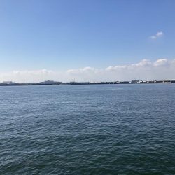 名古屋港でハゼ釣り