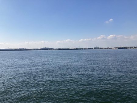 名古屋港でハゼ釣り