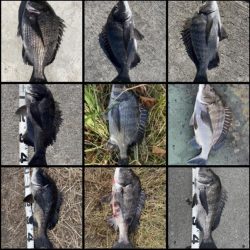 イチノ兄弟、釣果！