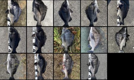 イチノ兄弟、釣果！