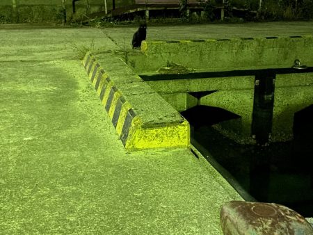 久しぶりの淡路島釣行