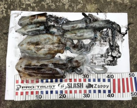 大潮のおかげ？