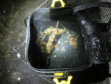 雨が降る前にライトゲーム