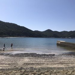 イカに磯にいったが?、あじアジ爆