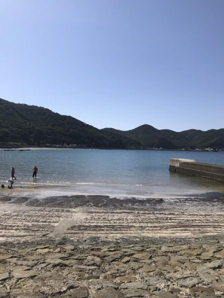 イカに磯にいったが?、あじアジ爆