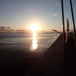 久々の2桁釣果^ ^