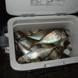 試しに行ってみたら