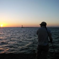 強風の播磨新島釣行