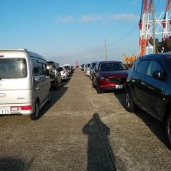 朝の時合いに釣行出来ました