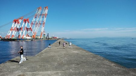 良型キスが釣れ始めました