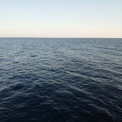 本命　ヒラマサは撃沈