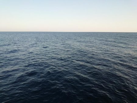 本命　ヒラマサは撃沈