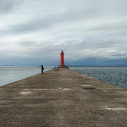 強風の播磨新島釣行