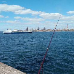 復活するか播磨新島のキス