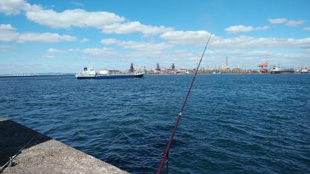 復活するか播磨新島のキス