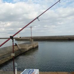 淡路の漁港４か所調査