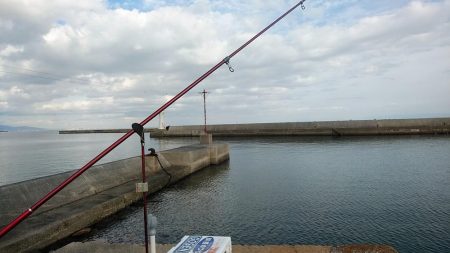 淡路の漁港４か所調査